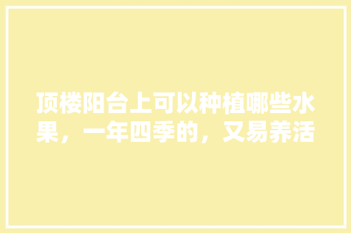 顶楼阳台上可以种植哪些水果，一年四季的，又易养活的，阳台种植喜欢的水果有哪些。