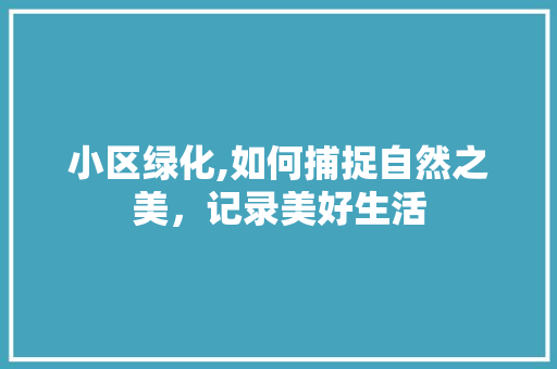 小区绿化,如何捕捉自然之美，记录美好生活