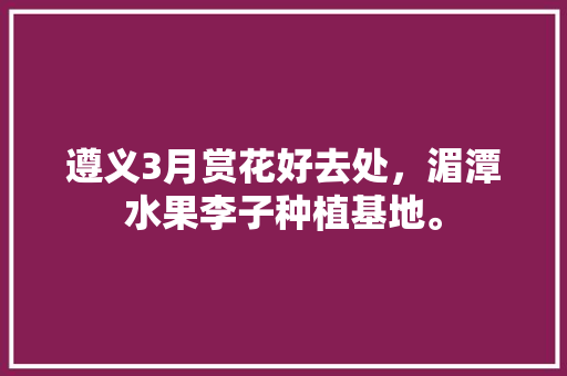 遵义3月赏花好去处，湄潭水果李子种植基地。 遵义3月赏花好去处，湄潭水果李子种植基地。 蔬菜种植