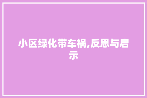 小区绿化带车祸,反思与启示