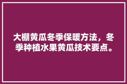 大棚黄瓜冬季保暖方法，冬季种植水果黄瓜技术要点。 土壤施肥