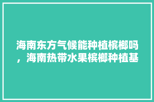 海南东方气候能种植槟榔吗，海南热带水果槟榔种植基地。