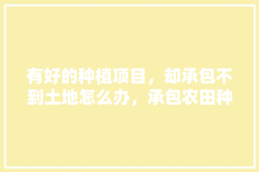 有好的种植项目，却承包不到土地怎么办，承包农田种植水果违法吗。