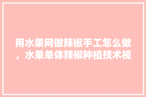 用水果网做辣椒手工怎么做，水果单体辣椒种植技术视频。