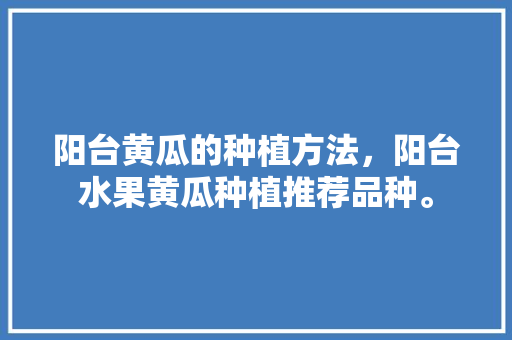 阳台黄瓜的种植方法，阳台水果黄瓜种植推荐品种。