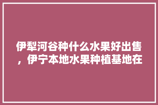 伊犁河谷种什么水果好出售，伊宁本地水果种植基地在哪里。