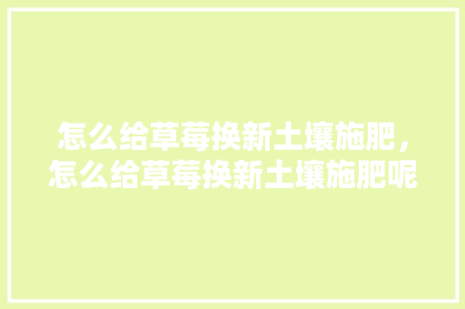 怎么给草莓换新土壤施肥，怎么给草莓换新土壤施肥呢。 怎么给草莓换新土壤施肥，怎么给草莓换新土壤施肥呢。 土壤施肥