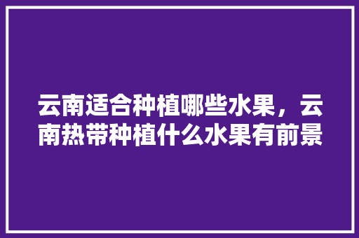 云南适合种植哪些水果，云南热带种植什么水果有前景和优势。