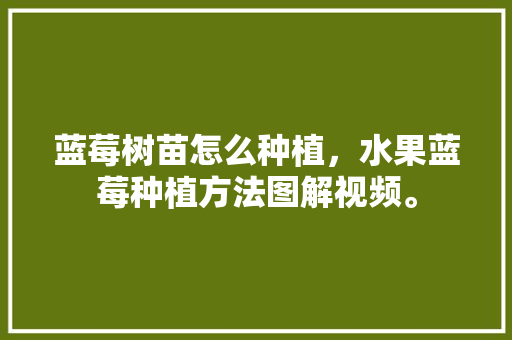 蓝莓树苗怎么种植，水果蓝莓种植方法图解视频。