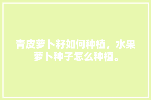 青皮萝卜籽如何种植，水果萝卜种子怎么种植。