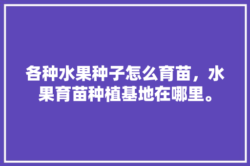 各种水果种子怎么育苗，水果育苗种植基地在哪里。