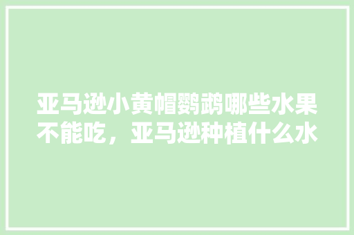 亚马逊小黄帽鹦鹉哪些水果不能吃，亚马逊种植什么水果好呢。