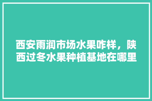 西安雨润市场水果咋样，陕西过冬水果种植基地在哪里。