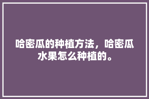 哈密瓜的种植方法，哈密瓜水果怎么种植的。