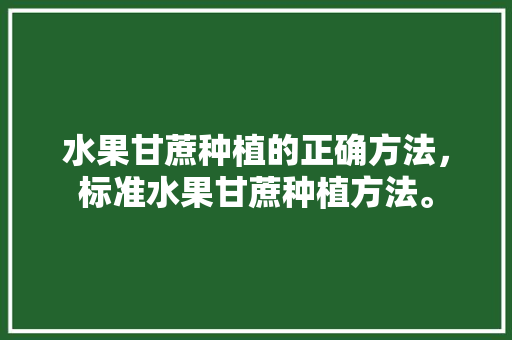 水果甘蔗种植的正确方法，标准水果甘蔗种植方法。