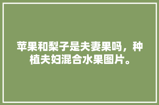 苹果和梨子是夫妻果吗，种植夫妇混合水果图片。