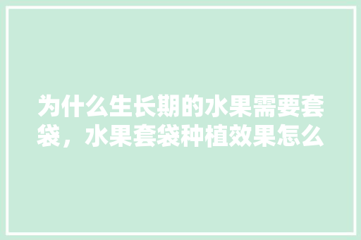 为什么生长期的水果需要套袋，水果套袋种植效果怎么样。