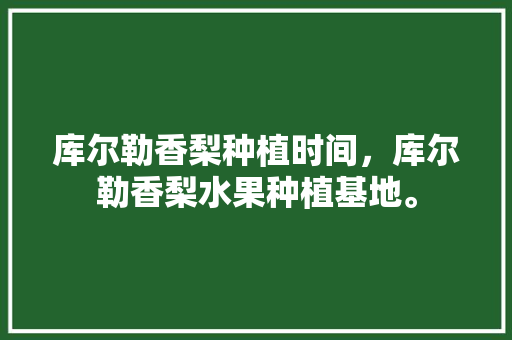 库尔勒香梨种植时间，库尔勒香梨水果种植基地。