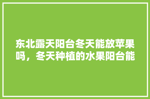 东北露天阳台冬天能放苹果吗，冬天种植的水果阳台能种吗。