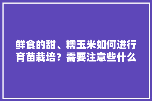 鲜食的甜、糯玉米如何进行育苗栽培？需要注意些什么，水果玉米秋天种植时间表。 鲜食的甜、糯玉米如何进行育苗栽培？需要注意些什么，水果玉米秋天种植时间表。 水果种植