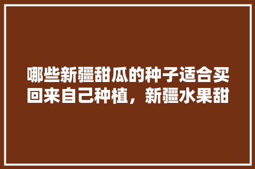 哪些新疆甜瓜的种子适合买回来自己种植，新疆水果甜瓜种植基地在哪里。