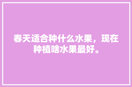 春天适合种什么水果，现在种植啥水果最好。