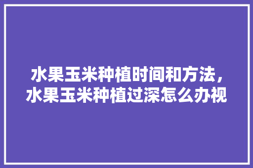 水果玉米种植时间和方法，水果玉米种植过深怎么办视频。