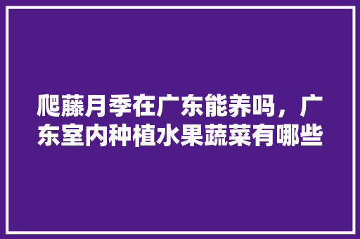 爬藤月季在广东能养吗，广东室内种植水果蔬菜有哪些。 爬藤月季在广东能养吗，广东室内种植水果蔬菜有哪些。 畜牧养殖