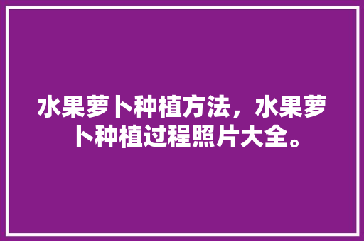 水果萝卜种植方法，水果萝卜种植过程照片大全。 家禽养殖