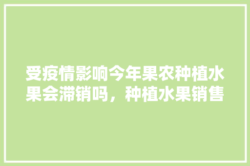 受疫情影响今年果农种植水果会滞销吗，种植水果销售现状调查。