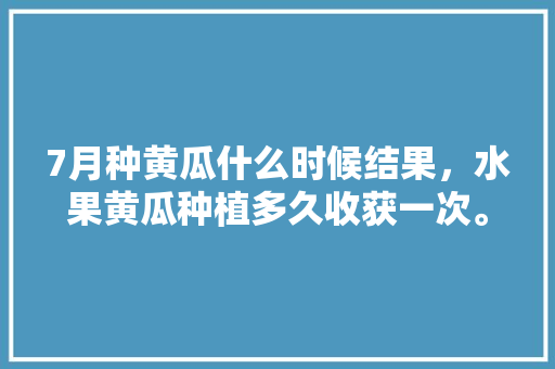 7月种黄瓜什么时候结果，水果黄瓜种植多久收获一次。