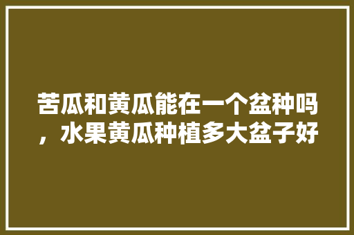 苦瓜和黄瓜能在一个盆种吗，水果黄瓜种植多大盆子好。