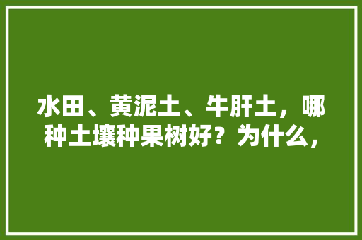 水田、黄泥土、牛肝土，哪种土壤种果树好？为什么，种植水果的土地叫什么。