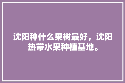 沈阳种什么果树最好，沈阳热带水果种植基地。