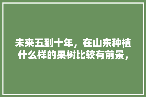 未来五到十年，在山东种植什么样的果树比较有前景，山东野生水果种植基地。