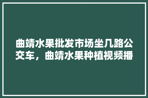 曲靖水果批发市场坐几路公交车，曲靖水果种植视频播放。