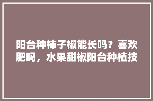 阳台种柿子椒能长吗？喜欢肥吗，水果甜椒阳台种植技术视频。