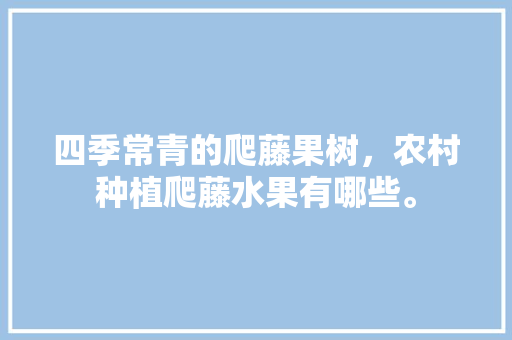 四季常青的爬藤果树，农村种植爬藤水果有哪些。