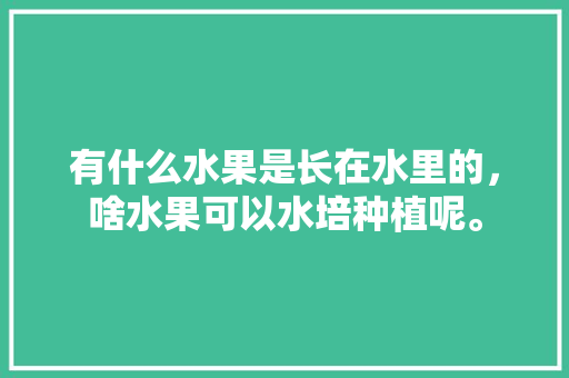 有什么水果是长在水里的，啥水果可以水培种植呢。