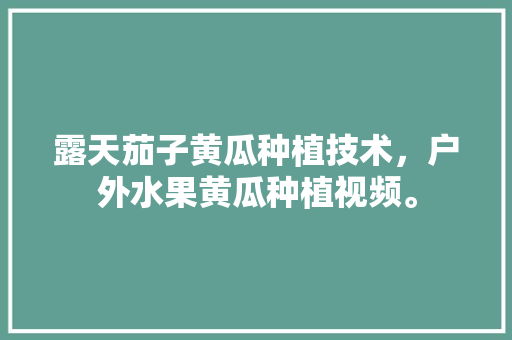 露天茄子黄瓜种植技术，户外水果黄瓜种植视频。