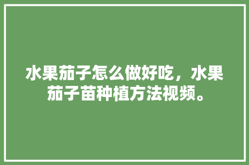 水果茄子怎么做好吃，水果茄子苗种植方法视频。