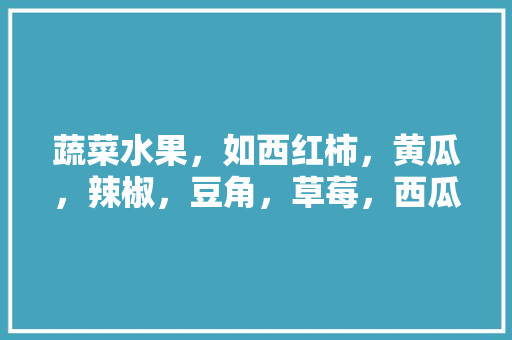 蔬菜水果，如西红柿，黄瓜，辣椒，豆角，草莓，西瓜，葡萄，樱桃的季节？现在能买到他们的季节，樱桃椒辣不辣。