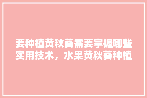 要种植黄秋葵需要掌握哪些实用技术，水果黄秋葵种植技术视频。