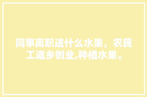 同事离职送什么水果，农民工返乡创业,种植水果。