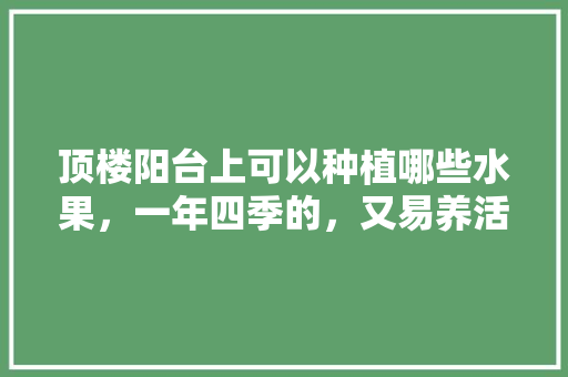 顶楼阳台上可以种植哪些水果，一年四季的，又易养活的，枇杷怎么种植水果好看图片。