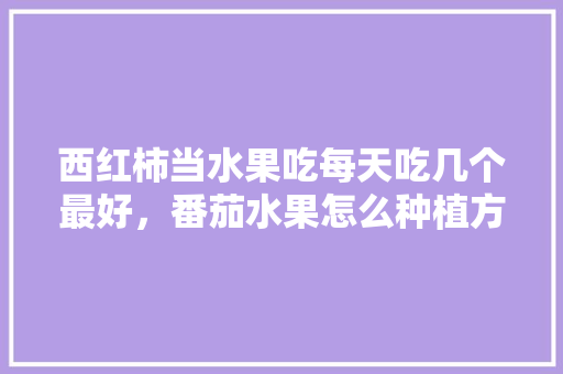 西红柿当水果吃每天吃几个最好，番茄水果怎么种植方法。