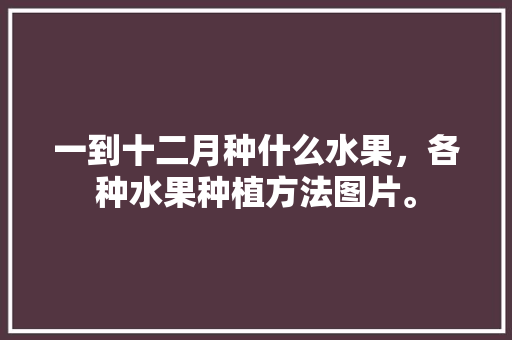 一到十二月种什么水果，各种水果种植方法图片。