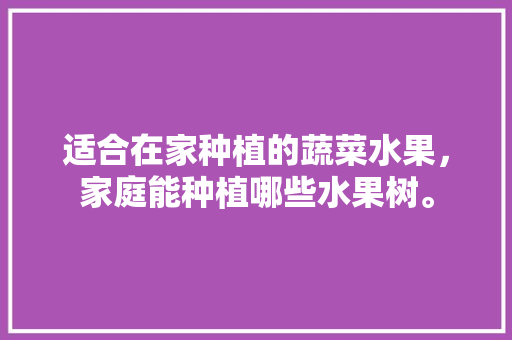 适合在家种植的蔬菜水果，家庭能种植哪些水果树。