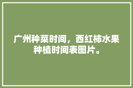 广州种菜时间，西红柿水果种植时间表图片。