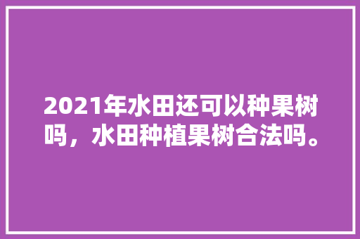 2021年水田还可以种果树吗，水田种植果树合法吗。